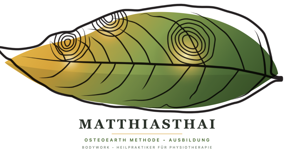 Matthias Beuthe – Holistic Bodywork